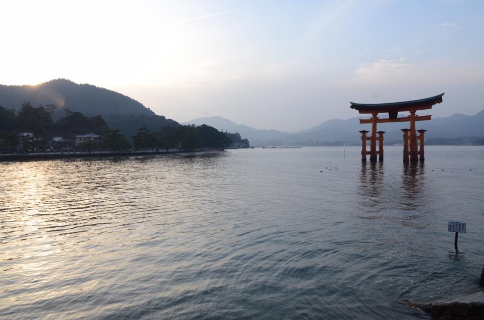 12494726_10153940537323953_4943776997700584357_n