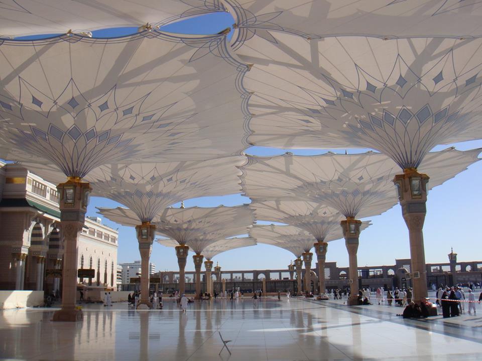 15085464_10154746204093953_5287842072273876905_n