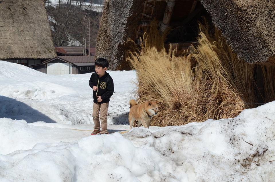 15107452_10154740994873953_2333548698049780554_n