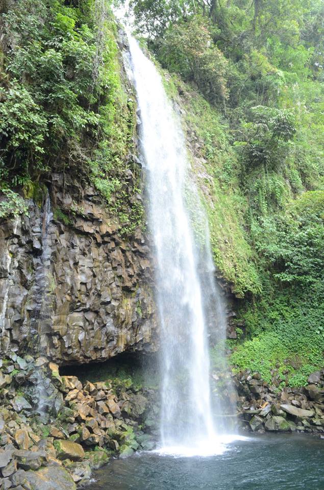 15109548_10154740745528953_7354007930015125391_n