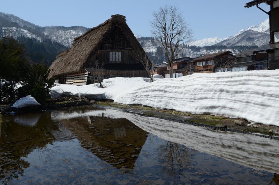 15109575_10154740995603953_2422148449666325624_n