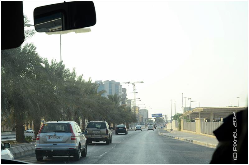 486348_10151183164148953_65078830_n