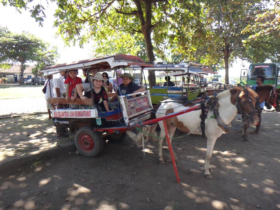 15380806_10154801028038953_2785597720788040787_n