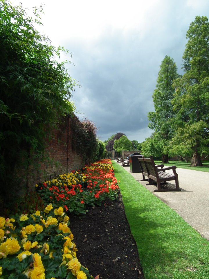 310964_10150344824603953_836988670_n