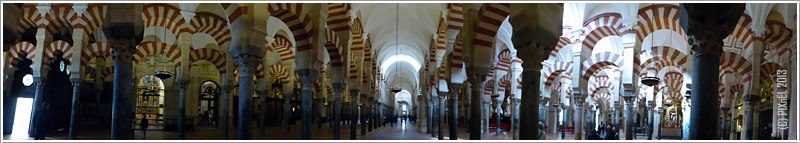 547636_10151417187773953_819344976_n