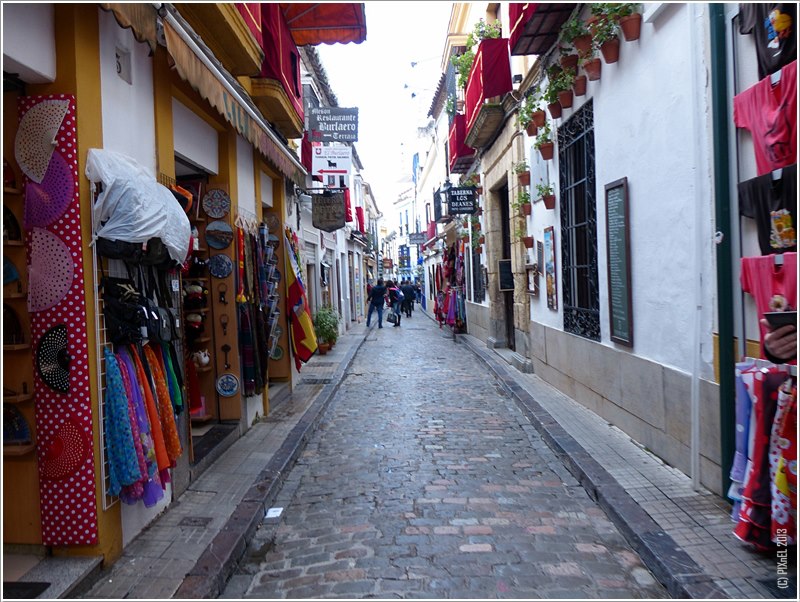 579625_10151417181898953_1535815131_n