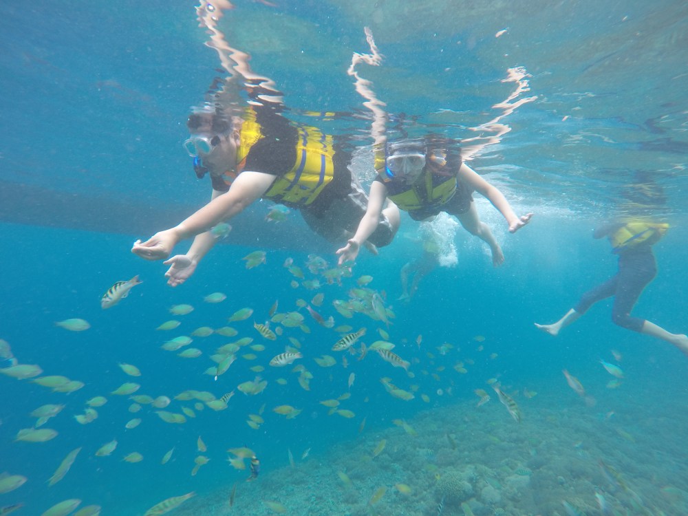 DCIM100GOPROG0186055.