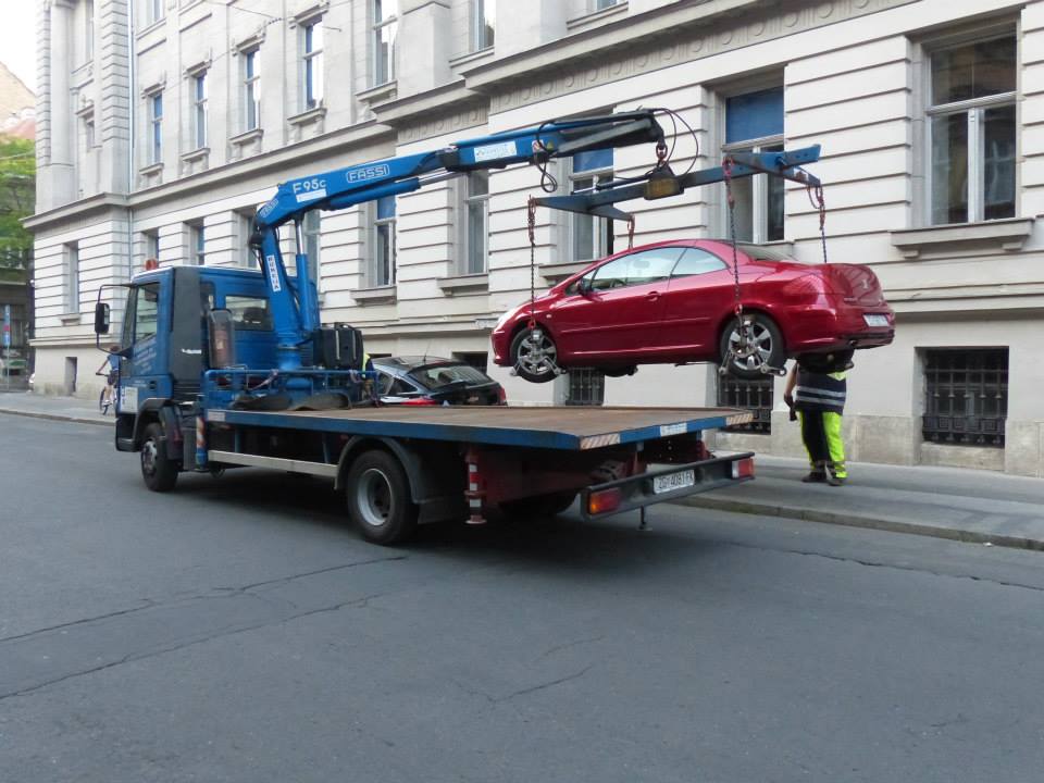 11196330_10153487635108953_4431031441548247527_n