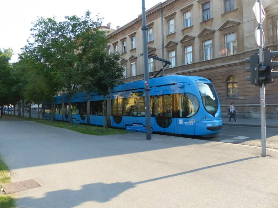 11539774_10153487618013953_4198316667358662398_n